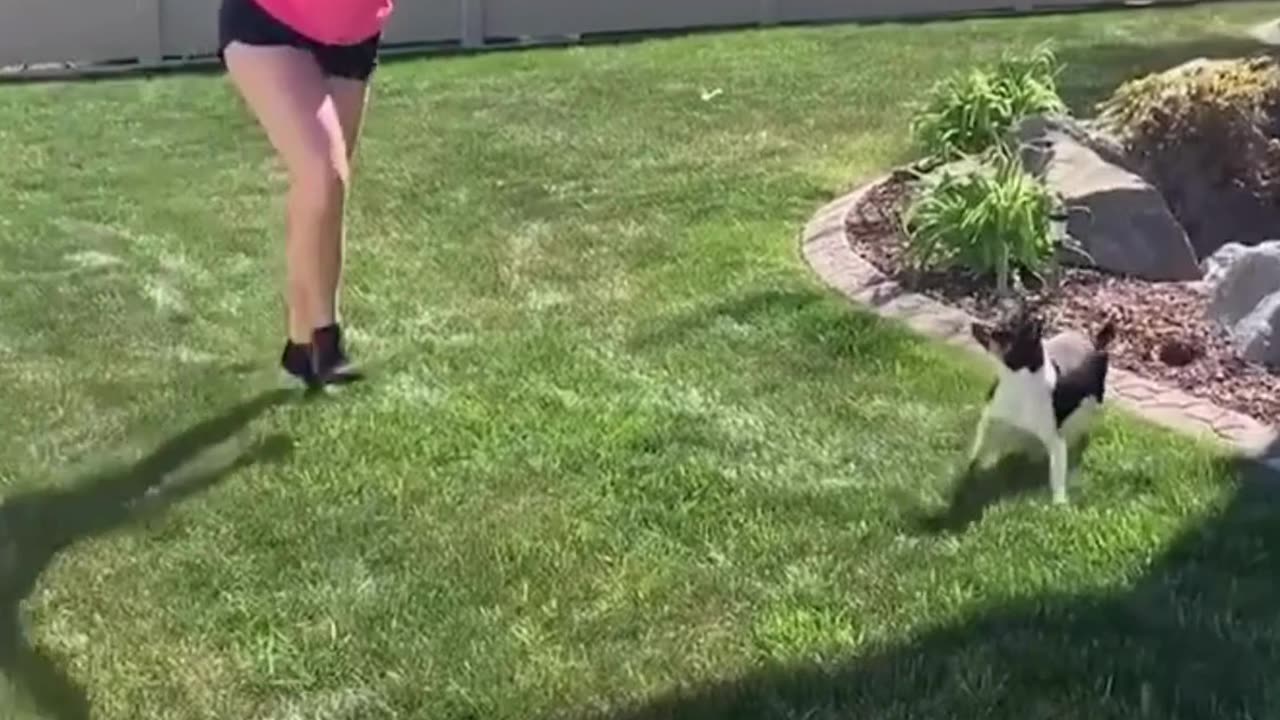 Which one really made you laugh? 😂😂😂 #viral #shorts #fails #funny #mmvfunny