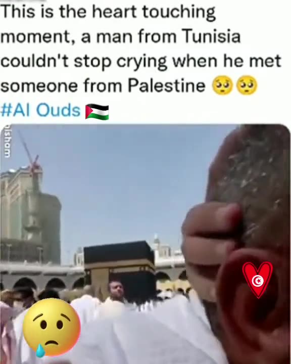 LOVE FOR PALESTINE