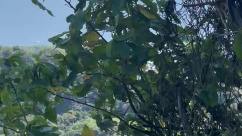 watch taal volcano after eruption