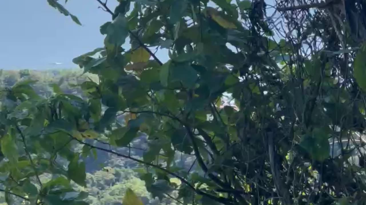 watch taal volcano after eruption