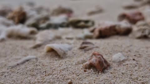 Start the day with the peaceful sounds of the waves! Mother Nature provides the most relaxing sounds