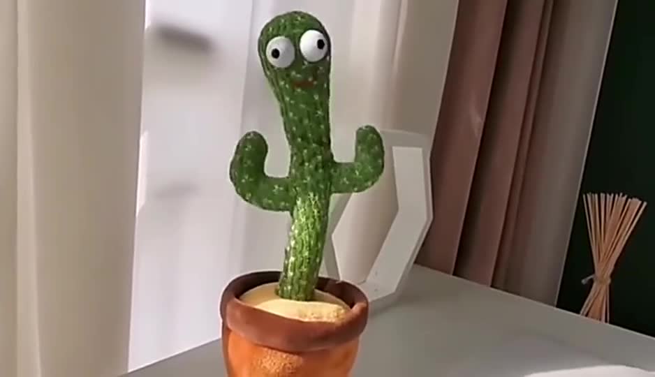 Dancing cactus