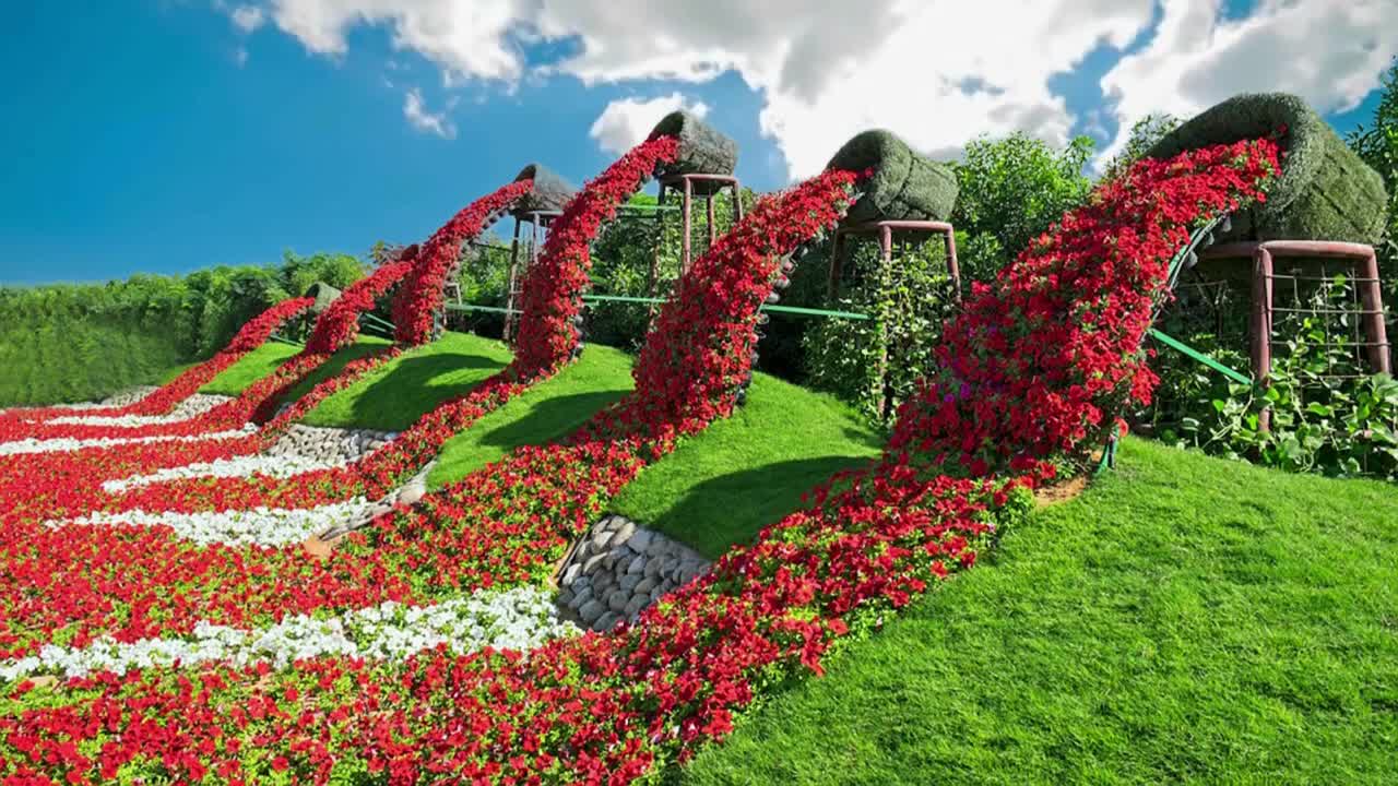 Beautiful flower Gardens