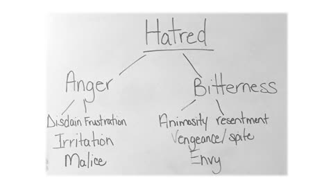 Insight on Hatred