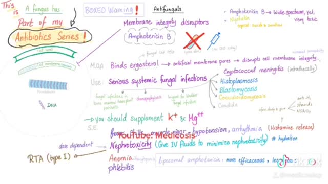 Antibiotics and Antifungals | Amphotericin B | Medical Mnemonics