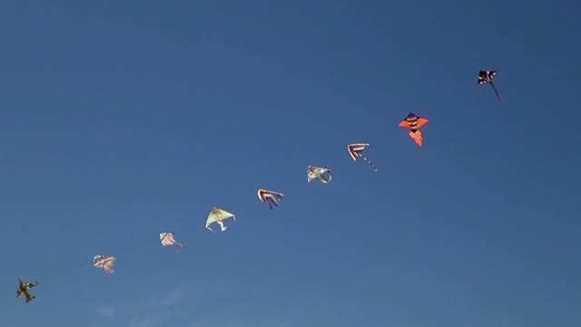 KITES ARE FLYING IN THE SKY