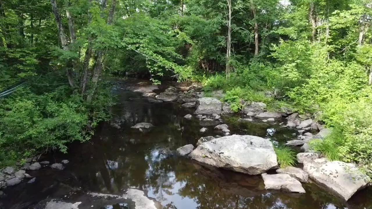 Drone & brook detecting