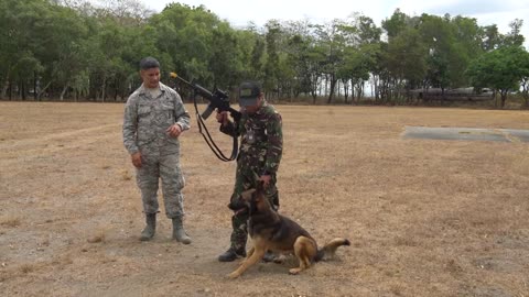 Army's Dog training