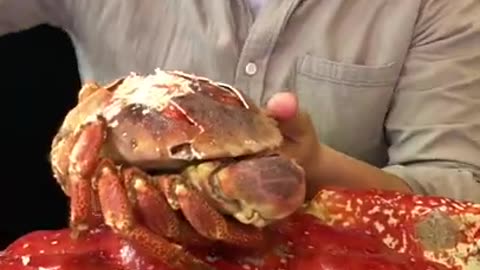 Seafood rich crab