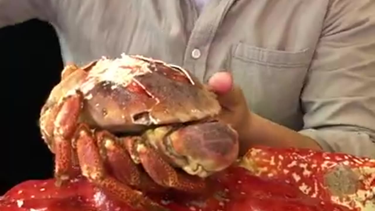 Seafood rich crab