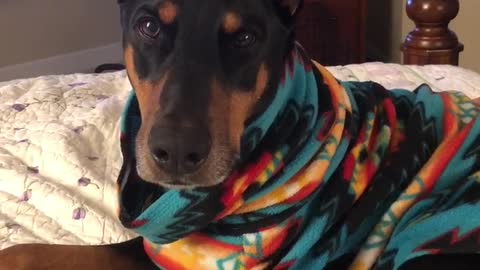 HANZ IN SWEATER 9.18.2020