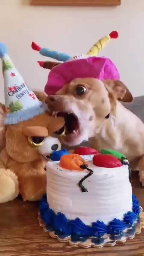 IT IS MY CAKE 😠😡