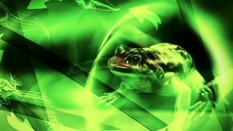 Why are you in this world?