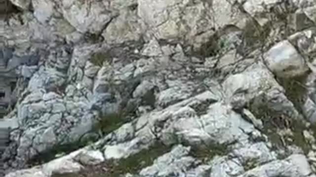 Θεοφάνεια με το Πάτριο εορτολόγιο.(19-1-2022)