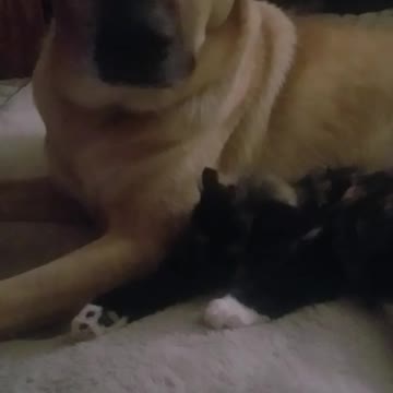 Kanochi rests with her big sis Hanna