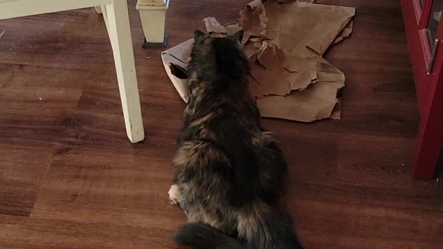 The mess maker