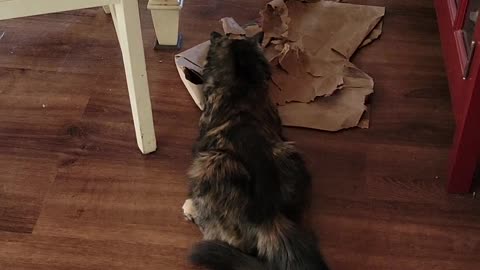 The mess maker
