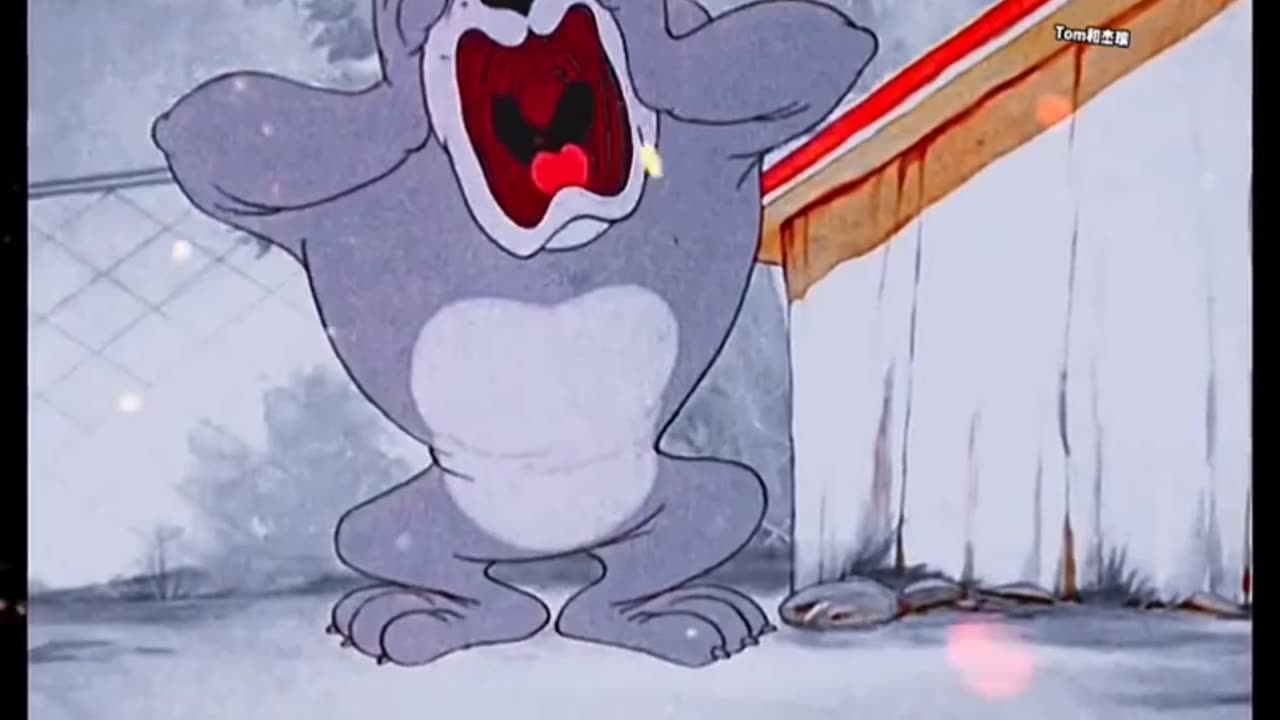 Tom And Jerry😼🐭😼🐭