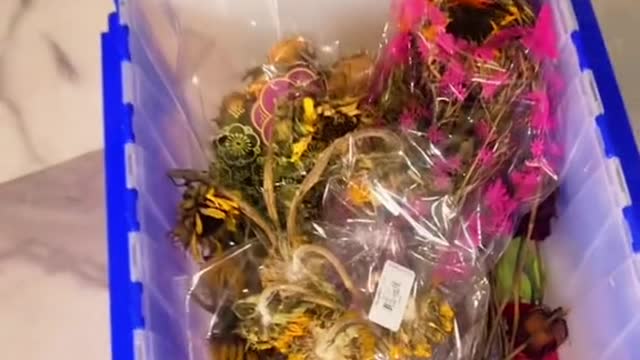 Relationship Goals #7