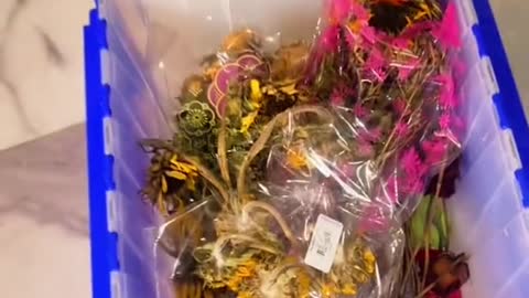 Relationship Goals #7