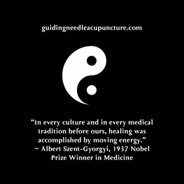 guiding needle acupuncture gets the point ☯️