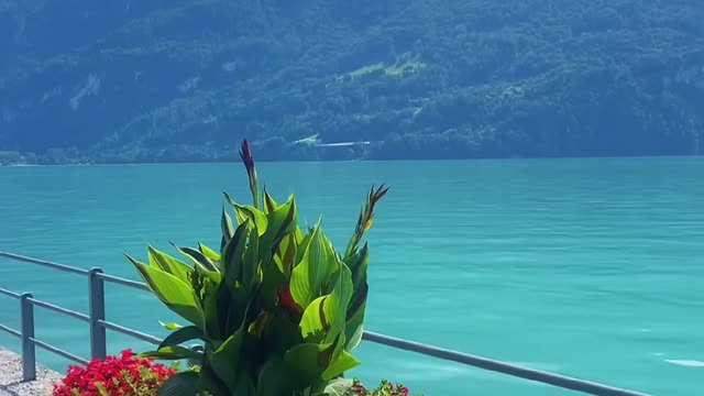 Turquoise paradise.. - - - - - -📍Brienz🇨🇭