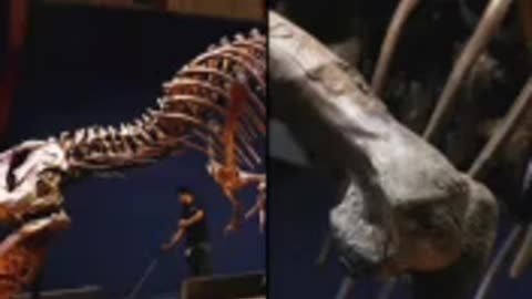 How Scientists & Filmmakers Brought Prehistoric