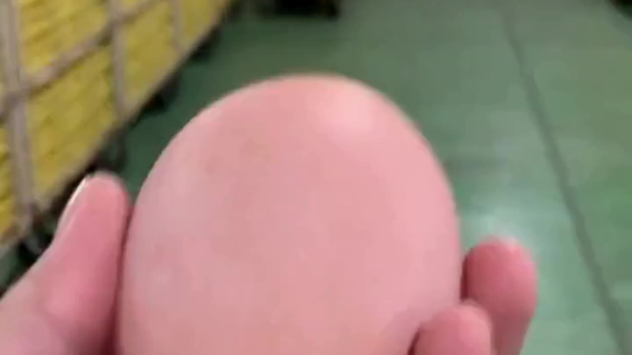 Egg within an egg"—the rare and fascinating phenomenon explained! 🥚✨ #NatureCuriosity
