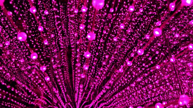 Decorating Stars / Colors lights / Amazing view