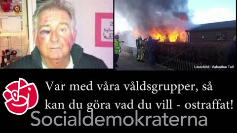 Sverige är en skurkstat - SD politiker vittnar