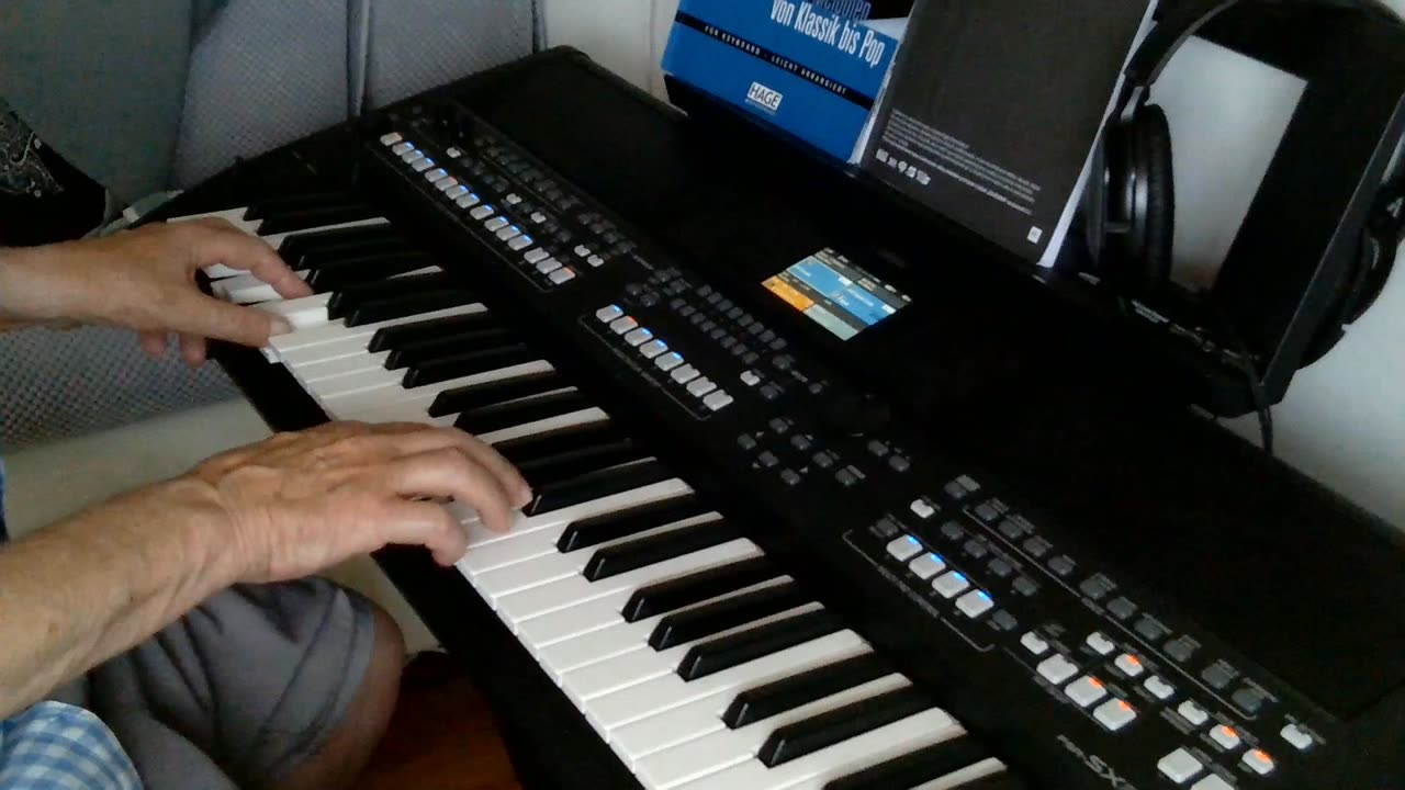 Summer Roses (Franz Lambert) cover by Henry, Yamaha PSR SX600