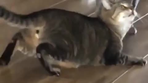 ANDDDD THE SHOW BEGIN!