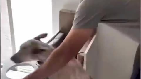 Funny video