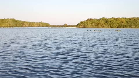 Lake Hicpotchee