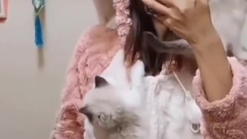 Cats in packets