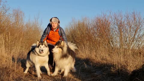 Man with Dogs in the Nature
