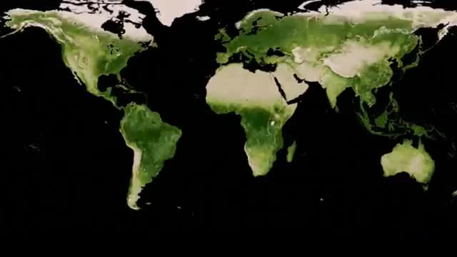 THE EARTH IS GETTING GREENER BY INCREASING CO2