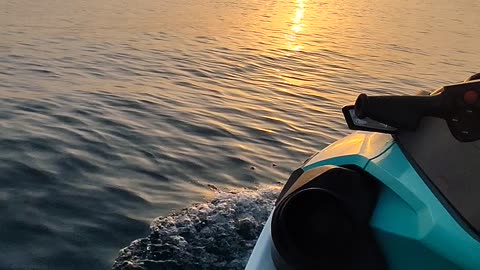 Dog Rides Jetski Into Sunset