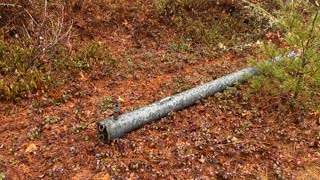 Wet woods, quiet moment, irrigation artifact.