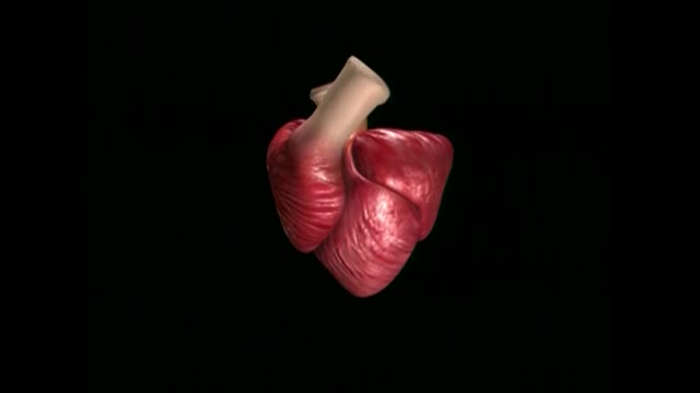 The Helical Heart a rope 2002 37 min
