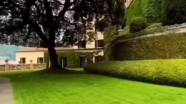 CIRCLE SHAPED WOOD IN THE WORLD