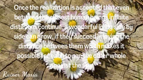 Inspirational Quotes About Love & Relationships | Great Sayings About Love | Wise Quotes & Thoughts