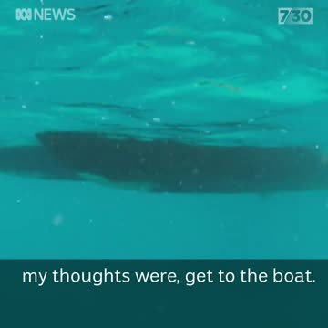 what its like to be bitten by a shark