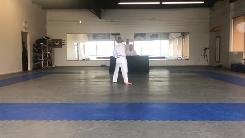 Flynn karate belt test 1