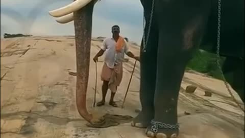 ചിറയ്ക്കൽ കാളിദാസൻ