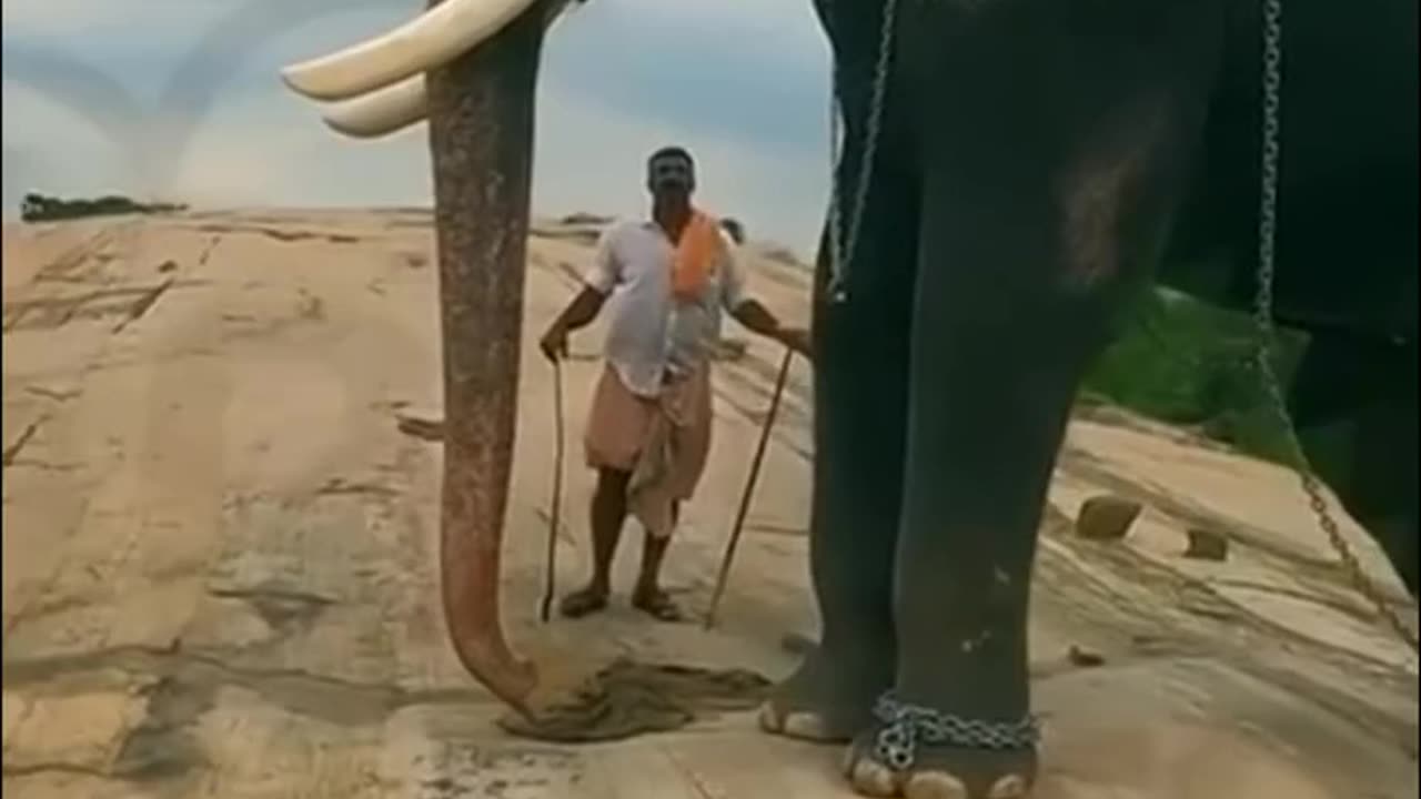 ചിറയ്ക്കൽ കാളിദാസൻ