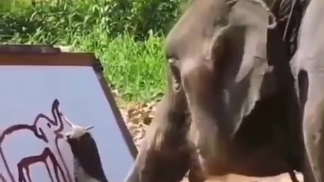 Elephant Paints Himself (VERY CUTE!)