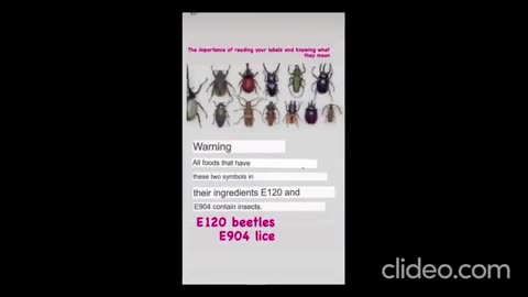 Food Ingredients E120 & E904 Are Bugs - Read Ingredients Carefully Before Buying And Eating