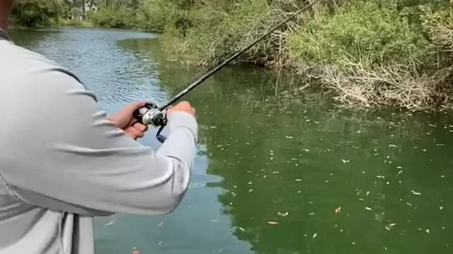 If you are free, you must go fishing to relax yourself