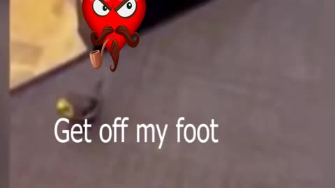 Get of my foot